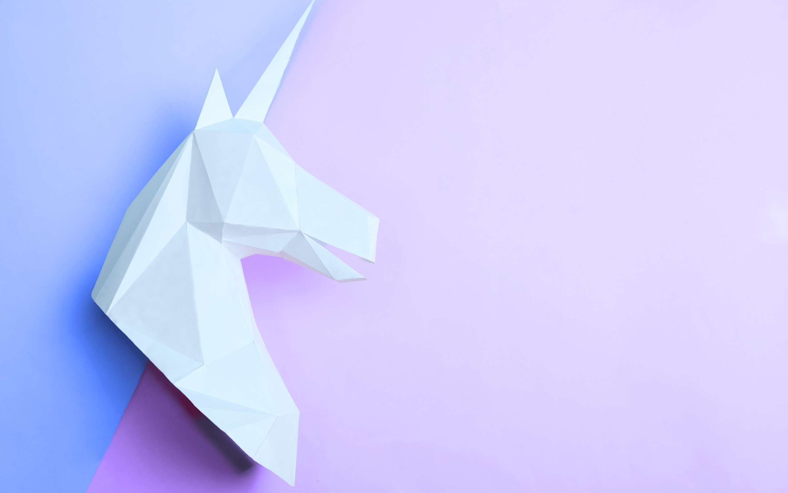 Harnessing Unicorn: Ruby Web Server Excellence with Curate Consulting