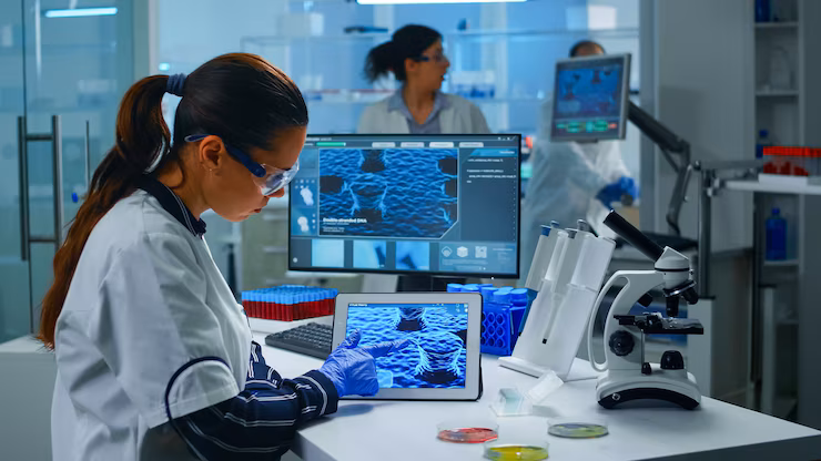 Visualization of a machine learning system automatically categorizing X-ray images based on diagnostic features.